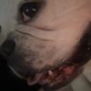 user789192592