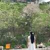 anhthuytravel