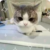 nhoanhnhiulam_3