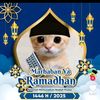 user8148800372063
