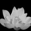 .thanh_1990