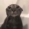 whatdoingnow00