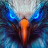 aigle.au.yeux.bleu.1809