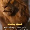 ahmedmualim8