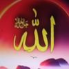 user8615810824753y