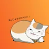 nyankoplay