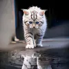 user12bi0yu5wz
