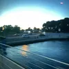liva_1