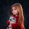 bashar.ashraf70