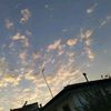 toni_6.21