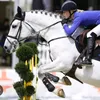 ...equestrian_world_