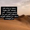 user7147519252529