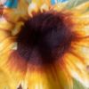 maggie25972