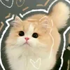 ng.phng.nh.lc