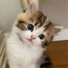sweetyyyyv