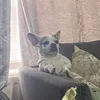 mrsxbxx