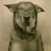 oussamafadili75