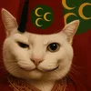 ottomanaloo