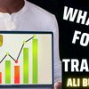 absforex7800