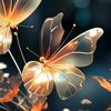 raju.ahmed3078
