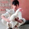 muhammadgujjar78