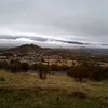 yazidiyazidi74