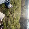 _leeniii10