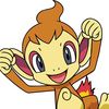 chimchar1290