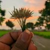 munna26864