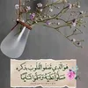 ام محمد