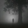 zblacky271