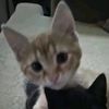 just.amy123