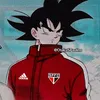 diego.santos384