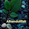 alhamdoulillah156