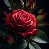 user5851297653806