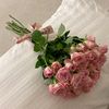 rax_801