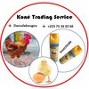Koné Trading Service KTS