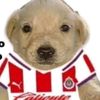 el_chivita