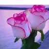 user5810608446907