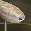 etunimonino