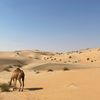 mazrouei5o2