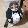 ilovecatsss2004