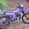 marcosch44