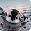 caseywang_24