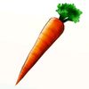 carrotcake2000