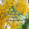 naing.lay2340