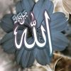 hiba18578