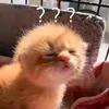 _its.pryvt