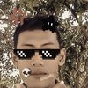 aris49077