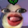 bbybyiky